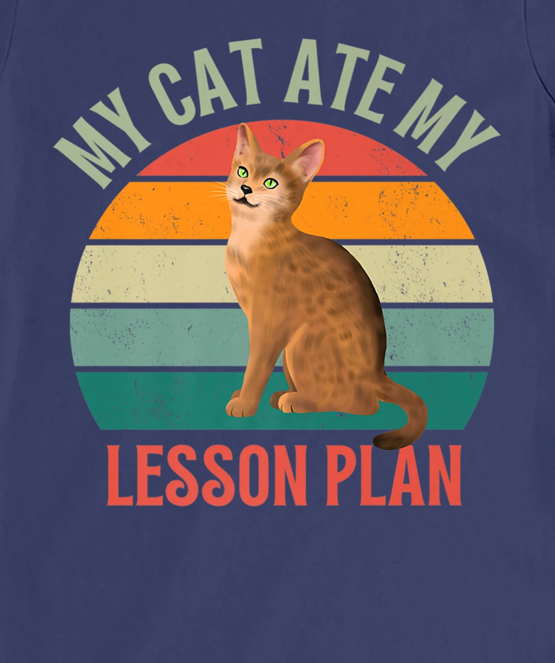 My Cat Ate My Lesson Plan Retro Abyssinian Lover Teacher T-Shirt, Women T-Shirt