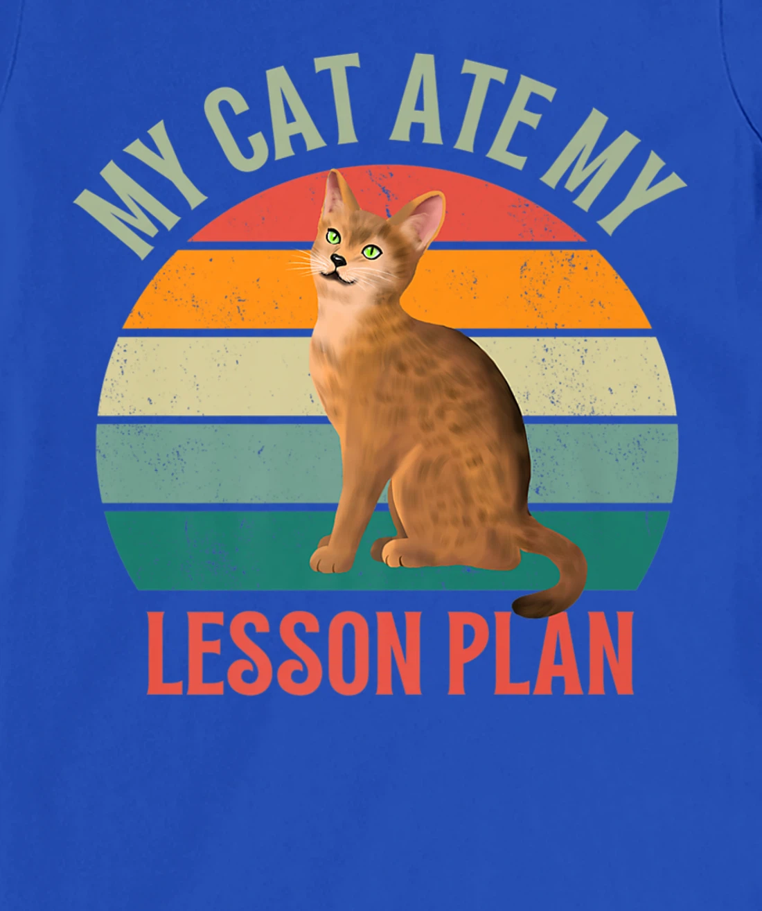 My Cat Ate My Lesson Plan Retro Abyssinian Lover Teacher T-Shirt, Women T-Shirt
