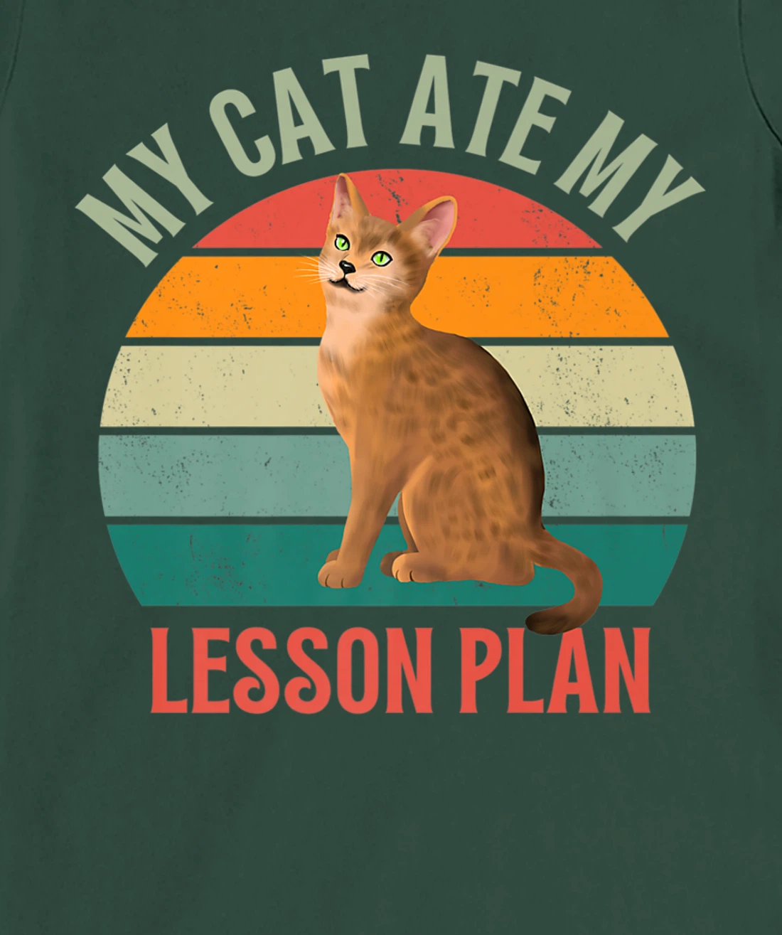 My Cat Ate My Lesson Plan Retro Abyssinian Lover Teacher T-Shirt, Women T-Shirt