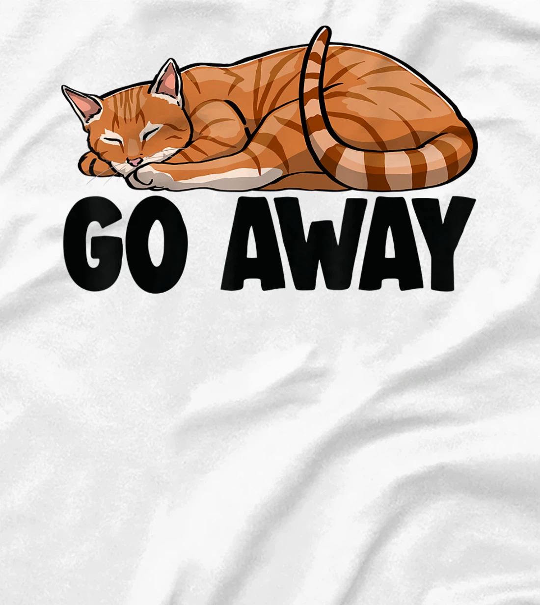 Go Away Cute Sleeping Cat Funny Cat Lovers Kitten T-Shirt, Women T-Shirt