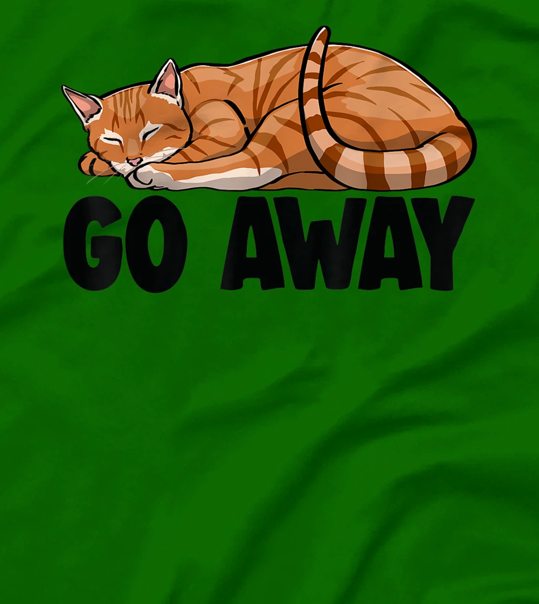 Go Away Cute Sleeping Cat Funny Cat Lovers Kitten T-Shirt, Women T-Shirt