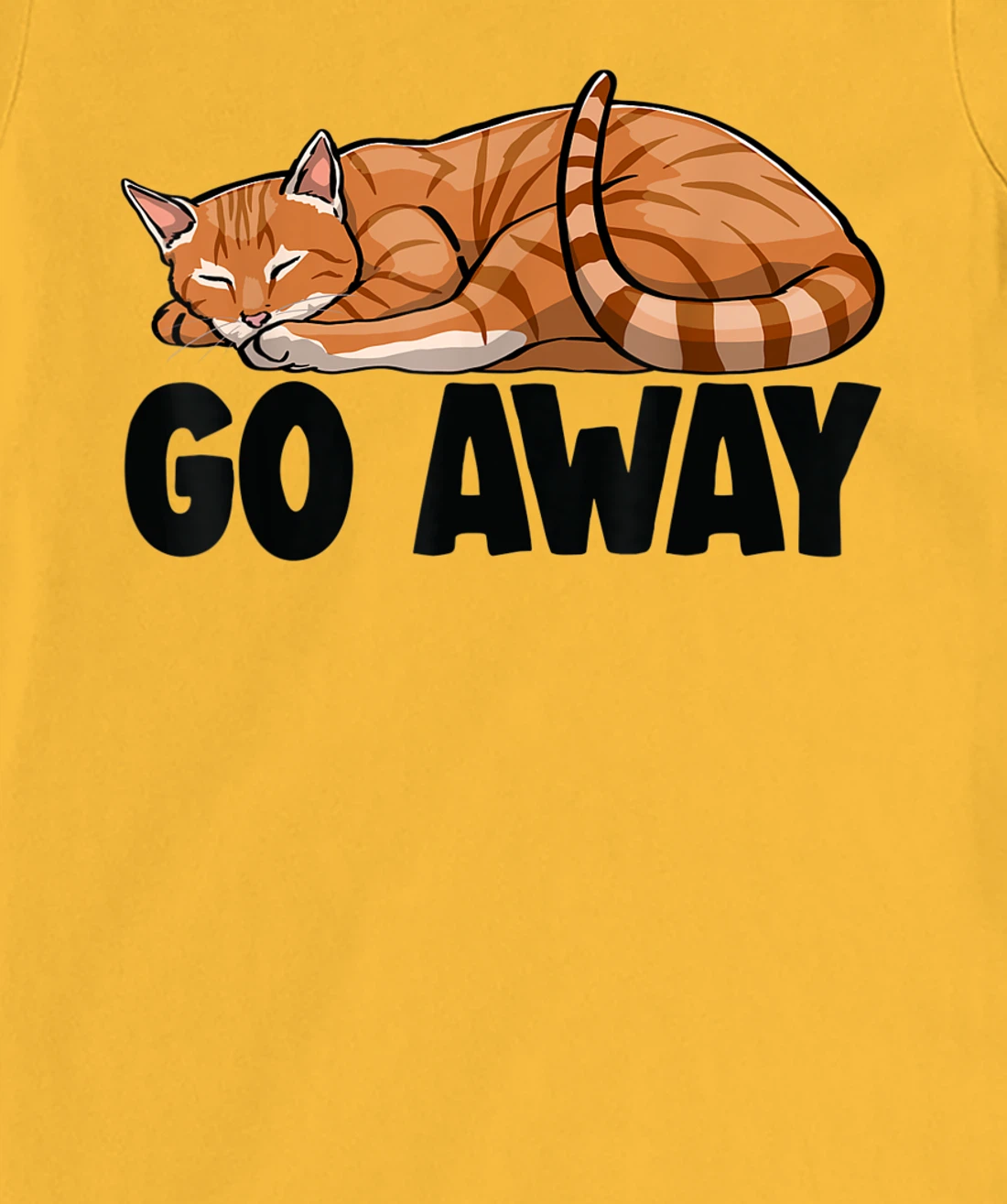 Go Away Cute Sleeping Cat Funny Cat Lovers Kitten T-Shirt, Women T-Shirt