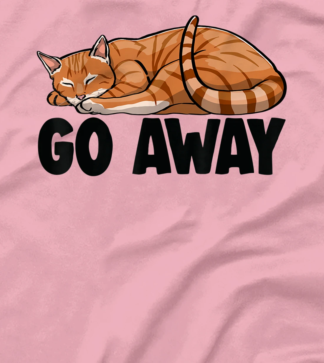 Go Away Cute Sleeping Cat Funny Cat Lovers Kitten T-Shirt, Women T-Shirt