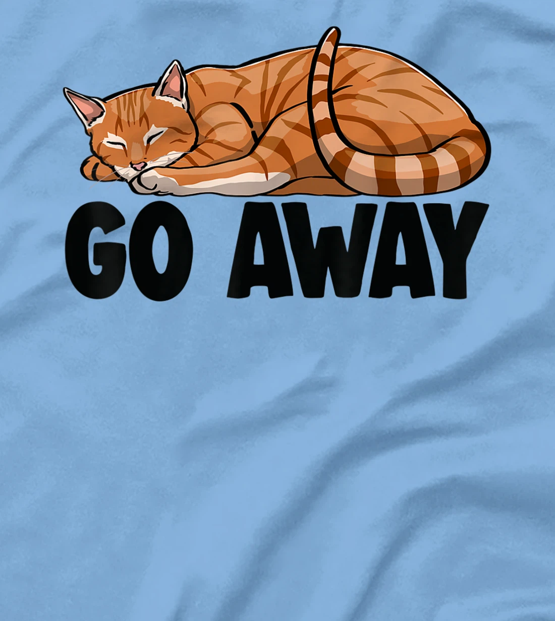 Go Away Cute Sleeping Cat Funny Cat Lovers Kitten T-Shirt, Women T-Shirt