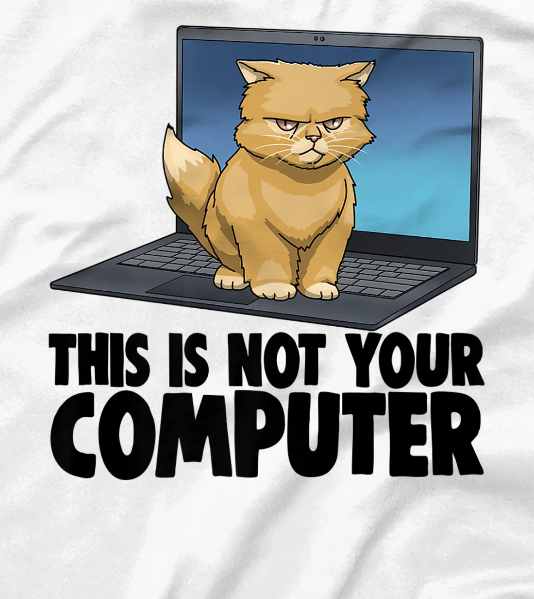 Womens This Not Your Computer Angry Cat Funny Cat Lovers Kitten T-Shirt, Women T-Shirt