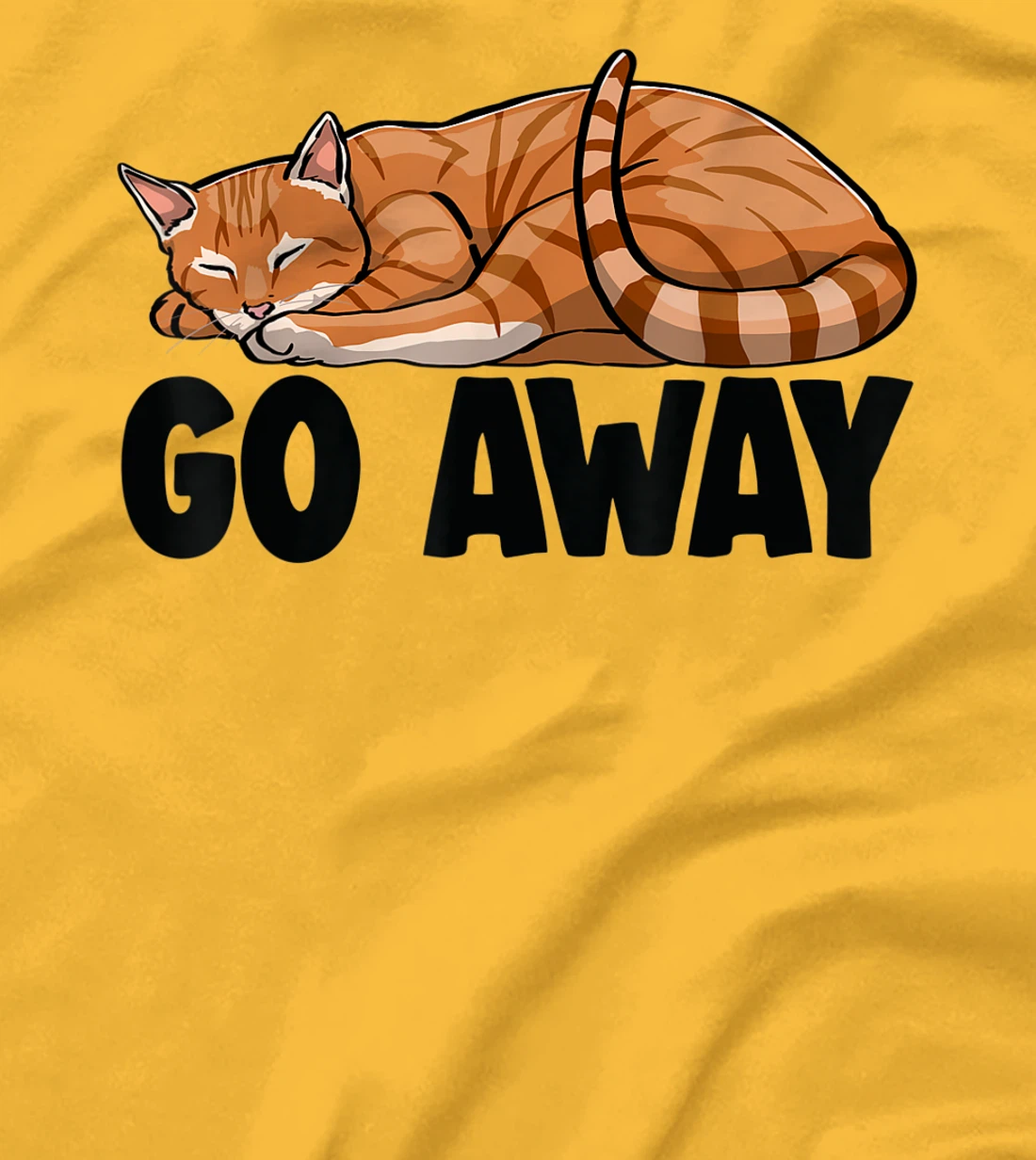 Go Away Cute Sleeping Cat Funny Cat Lovers Kitten T-Shirt, Women T-Shirt
