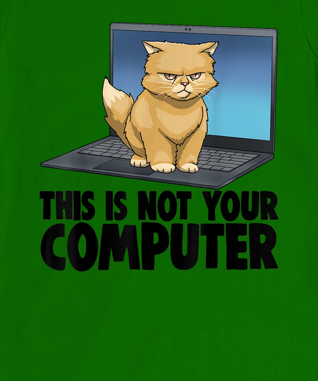 This Not Your Computer Angry Cat Funny Cat Lovers Kitten T-Shirt, Women T-Shirt