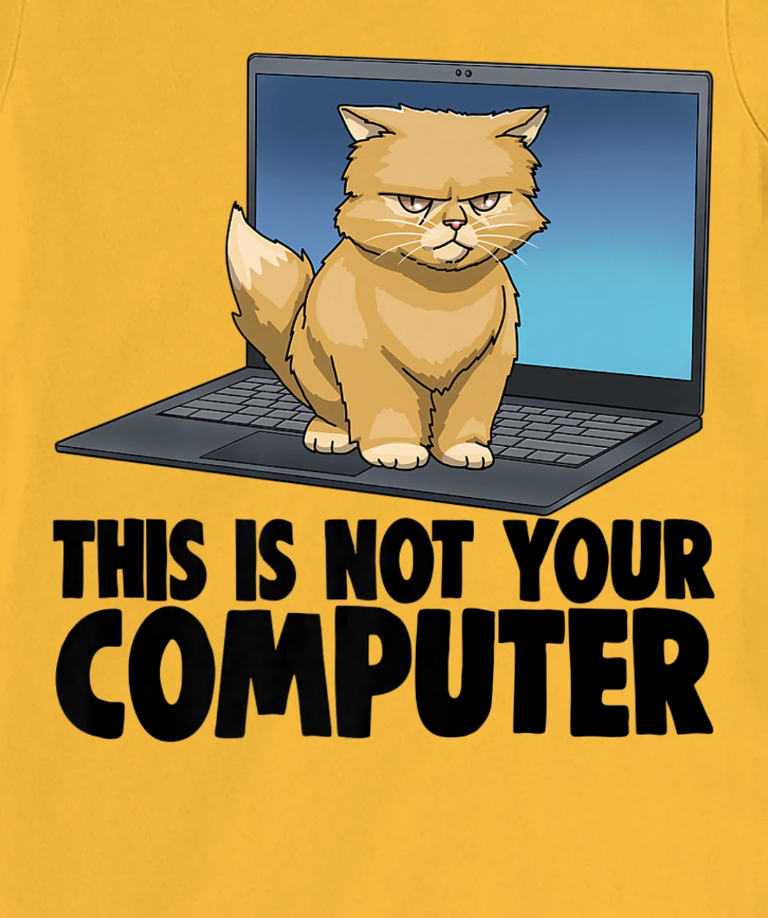 Womens This Not Your Computer Angry Cat Funny Cat Lovers Kitten T-Shirt, Women T-Shirt
