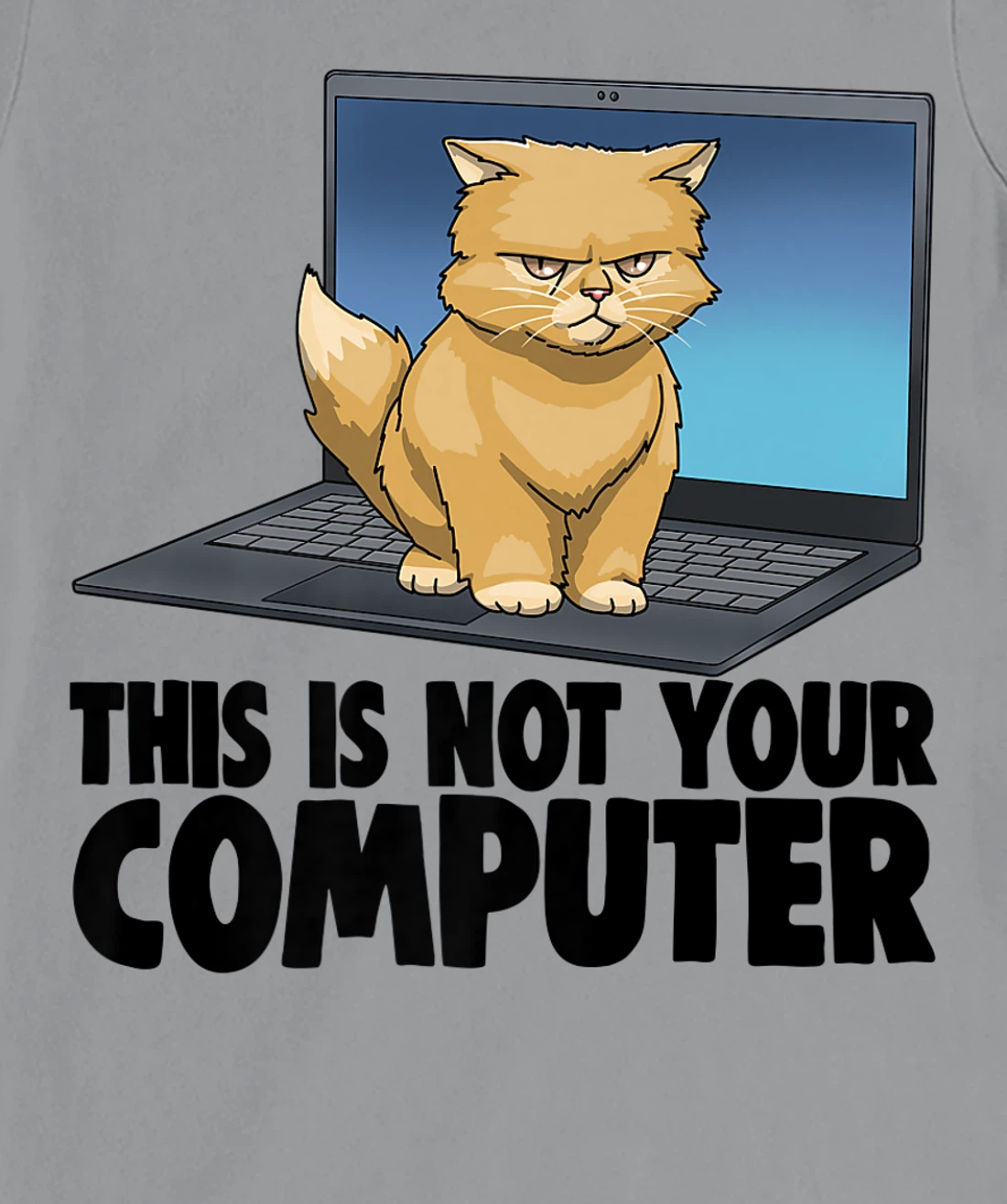 Womens This Not Your Computer Angry Cat Funny Cat Lovers Kitten T-Shirt, Women T-Shirt