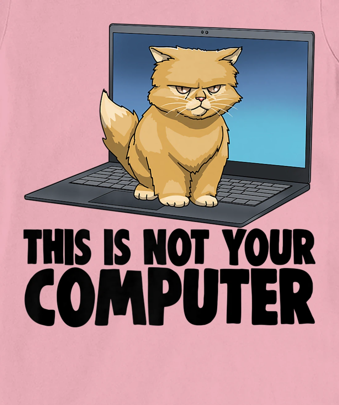 Womens This Not Your Computer Angry Cat Funny Cat Lovers Kitten T-Shirt, Women T-Shirt