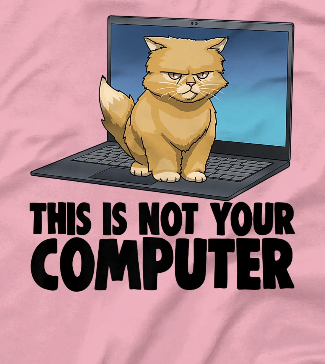 Womens This Not Your Computer Angry Cat Funny Cat Lovers Kitten T-Shirt, Women T-Shirt
