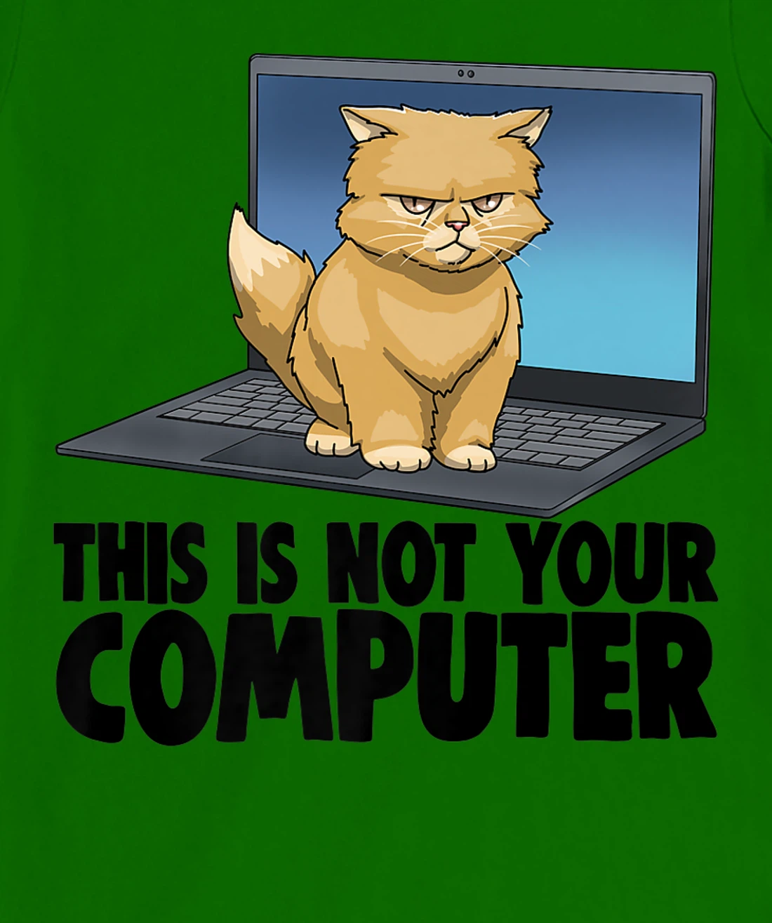 Womens This Not Your Computer Angry Cat Funny Cat Lovers Kitten T-Shirt, Women T-Shirt