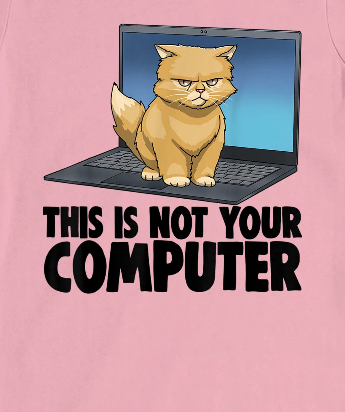 This Not Your Computer Angry Cat Funny Cat Lovers Kitten T-Shirt, Women T-Shirt