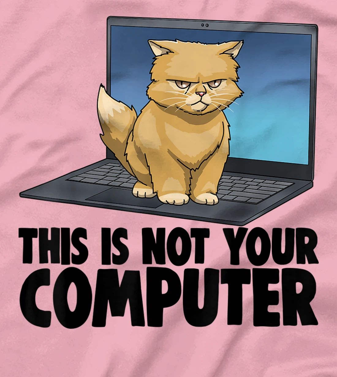 This Not Your Computer Angry Cat Funny Cat Lovers Kitten T-Shirt, Women T-Shirt