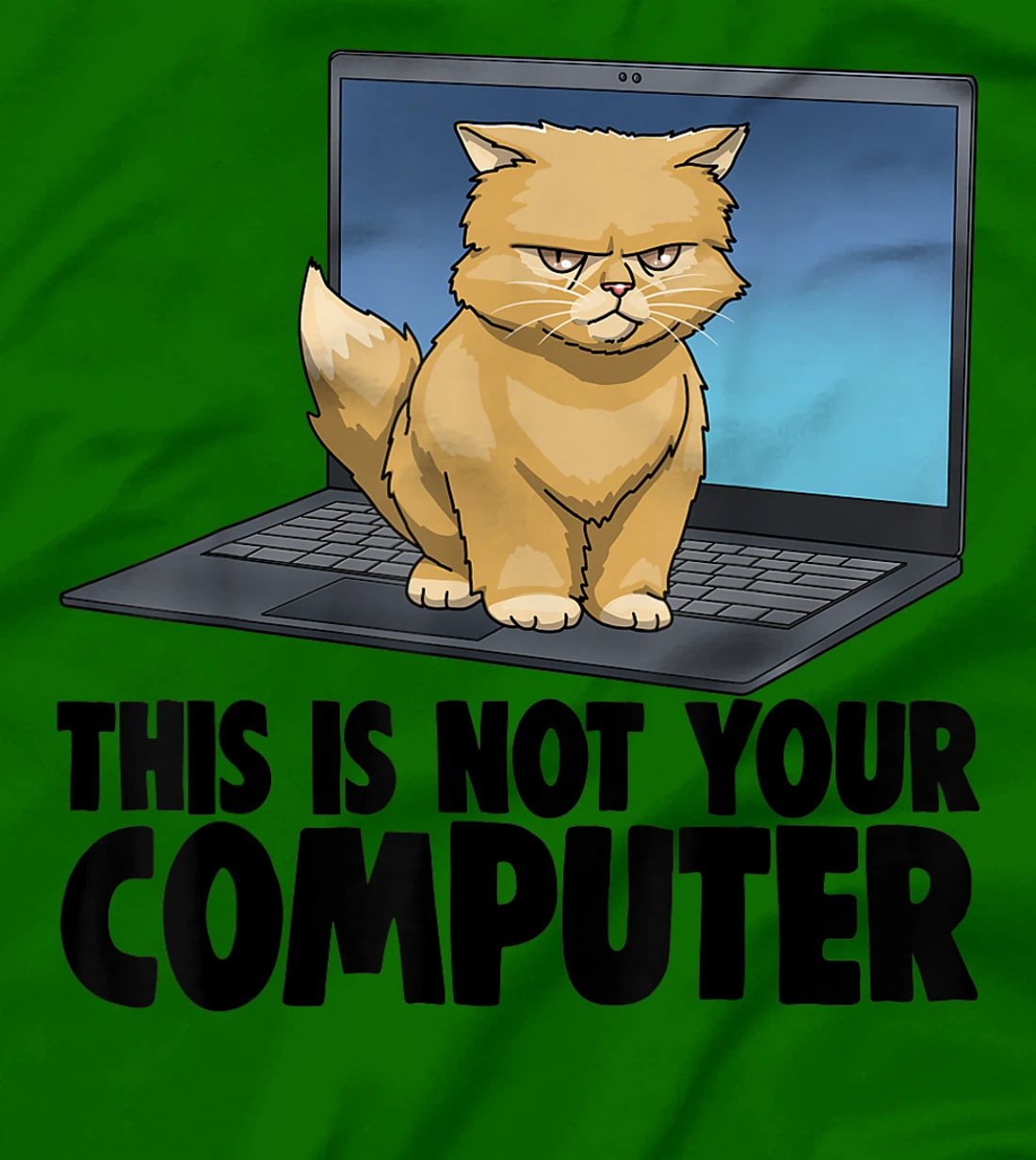 This Not Your Computer Angry Cat Funny Cat Lovers Kitten T-Shirt, Women T-Shirt