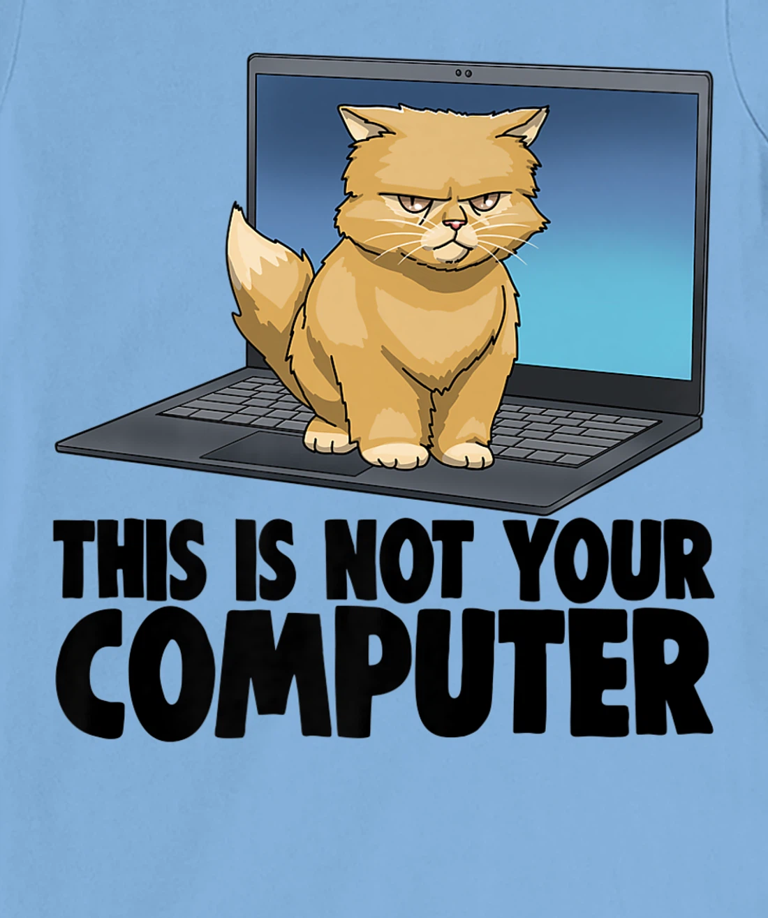 Womens This Not Your Computer Angry Cat Funny Cat Lovers Kitten T-Shirt, Women T-Shirt