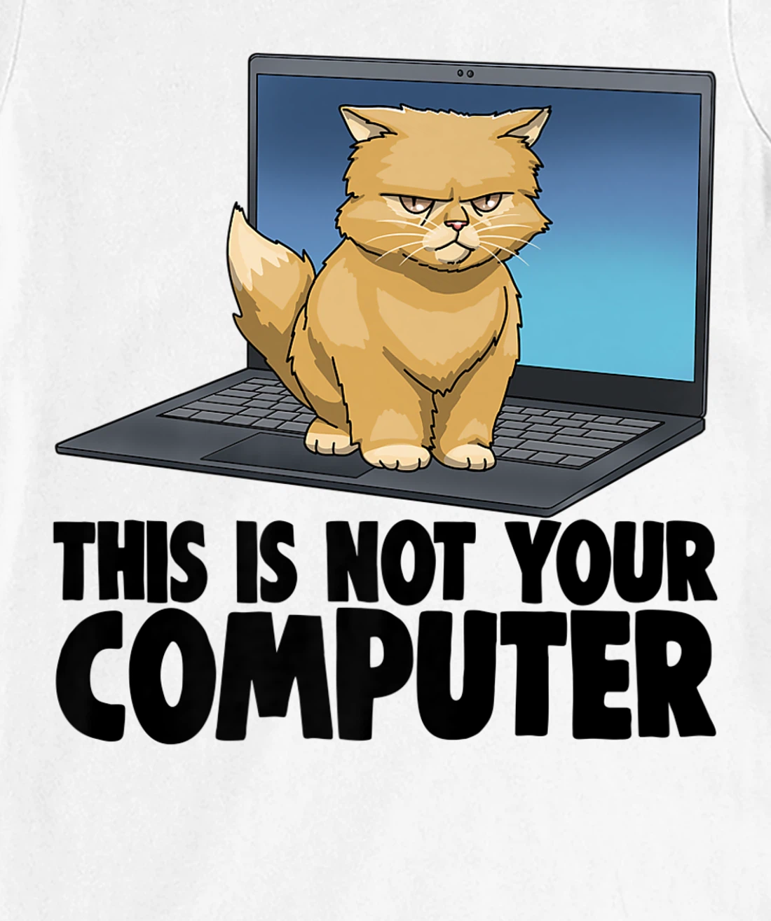 Womens This Not Your Computer Angry Cat Funny Cat Lovers Kitten T-Shirt, Women T-Shirt