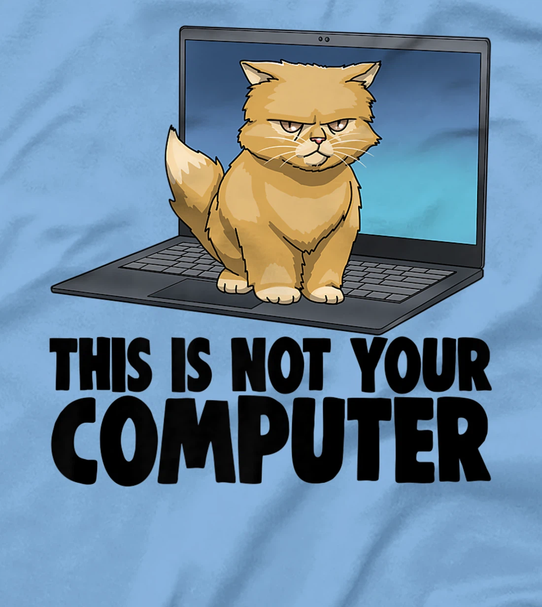 Womens This Not Your Computer Angry Cat Funny Cat Lovers Kitten T-Shirt, Women T-Shirt