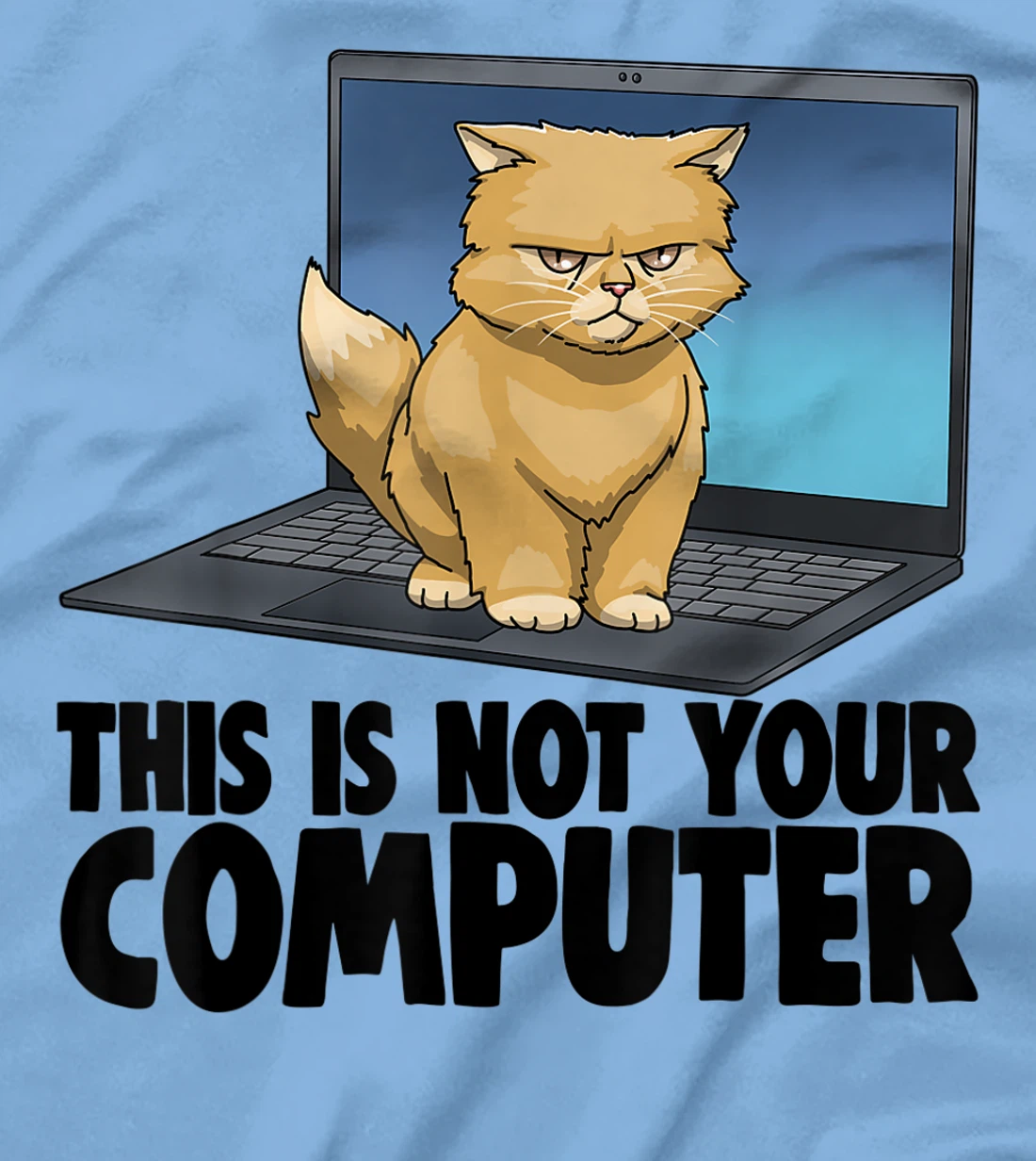 This Not Your Computer Angry Cat Funny Cat Lovers Kitten T-Shirt, Women T-Shirt
