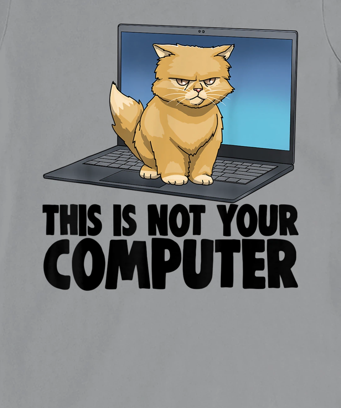 This Not Your Computer Angry Cat Funny Cat Lovers Kitten T-Shirt, Women T-Shirt