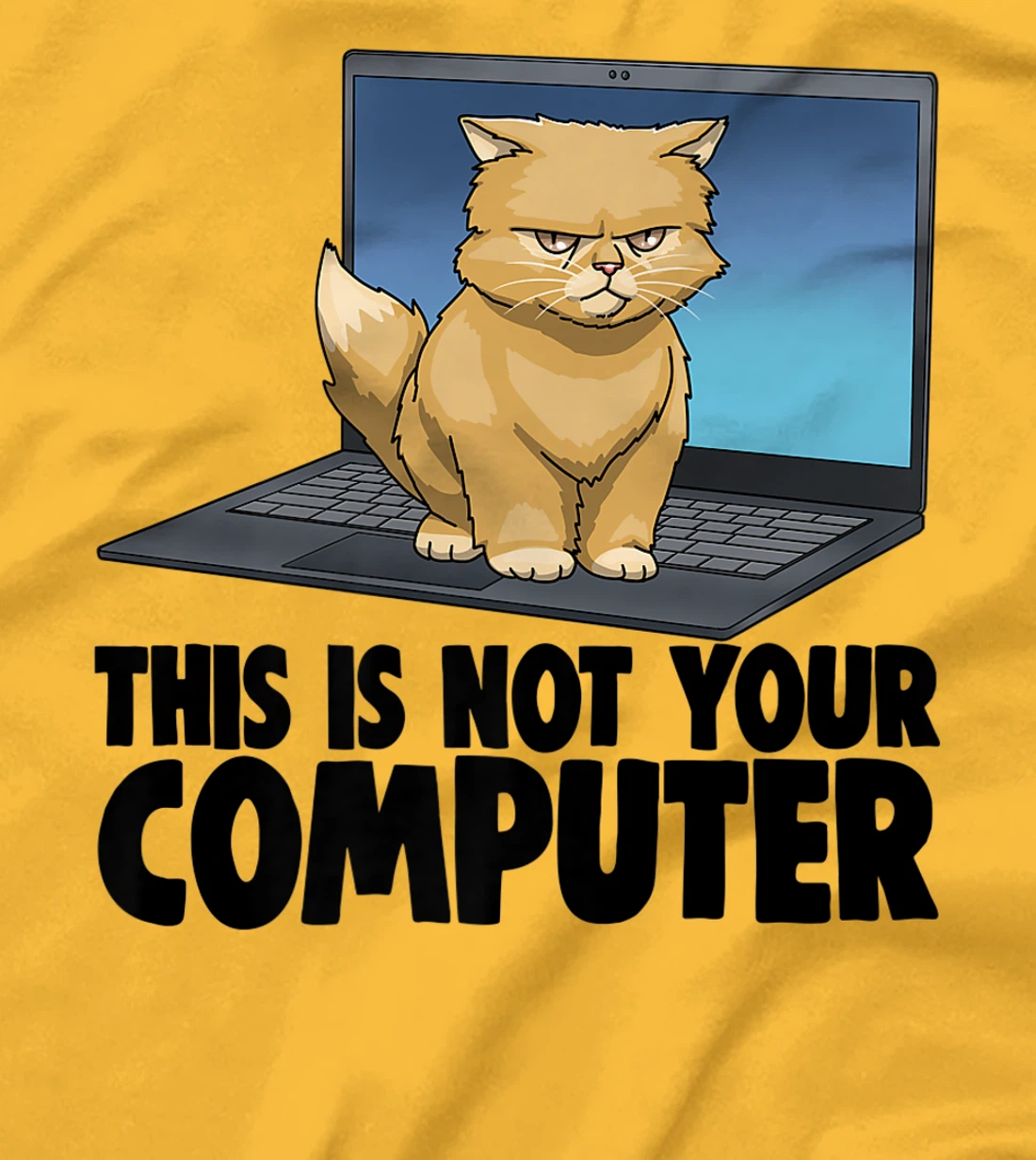 Womens This Not Your Computer Angry Cat Funny Cat Lovers Kitten T-Shirt, Women T-Shirt