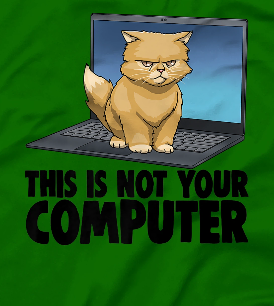 Womens This Not Your Computer Angry Cat Funny Cat Lovers Kitten T-Shirt, Women T-Shirt