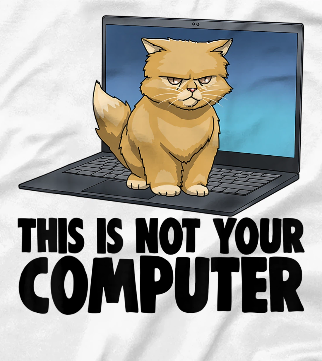 This Not Your Computer Angry Cat Funny Cat Lovers Kitten T-Shirt, Women T-Shirt