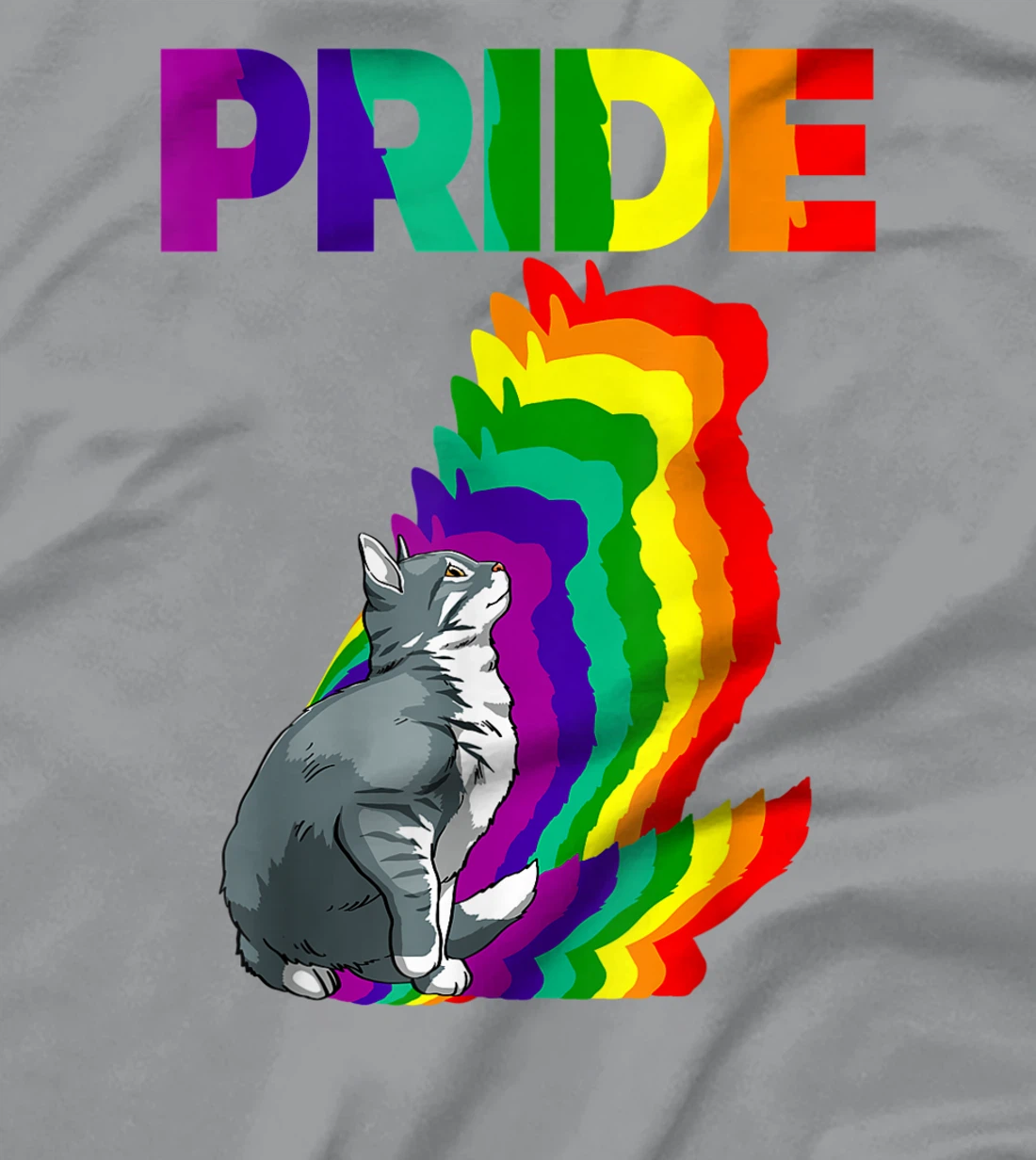 Cat Pride Purride Cat Rainbow Color Funny Cat Lovers Kitten T-Shirt, Women T-Shirt