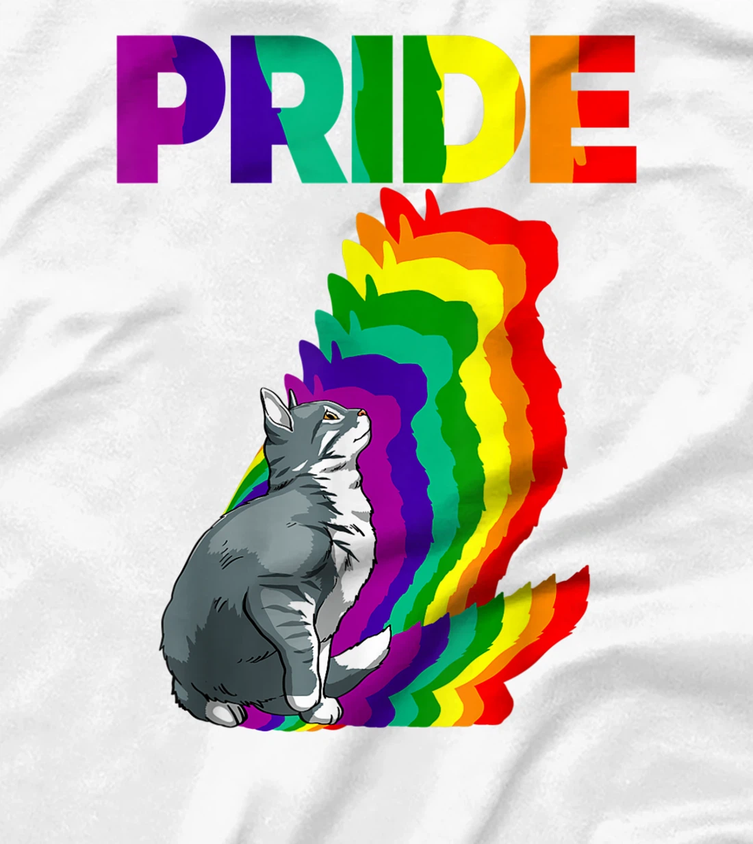 Cat Pride Purride Cat Rainbow Color Funny Cat Lovers Kitten T-Shirt, Women T-Shirt