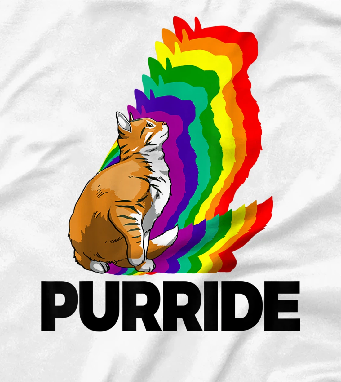 Cat Pride Purride Cat Rainbow Color Funny Cat Lovers Kitten T-Shirt, Women T-Shirt