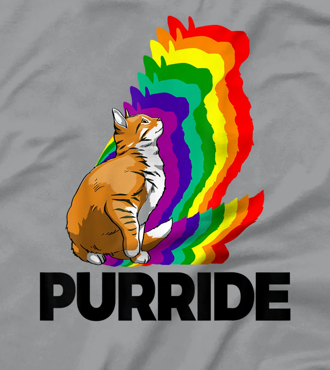 Cat Pride Purride Cat Rainbow Color Funny Cat Lovers Kitten T-Shirt, Women T-Shirt