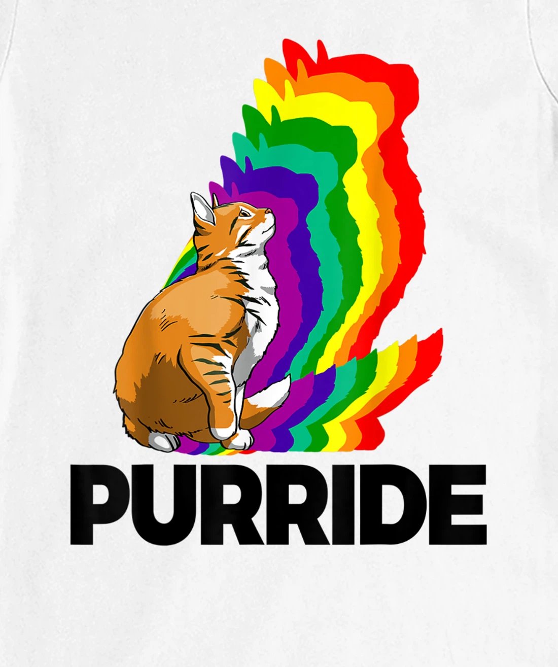 Cat Pride Purride Cat Rainbow Color Funny Cat Lovers Kitten T-Shirt, Women T-Shirt