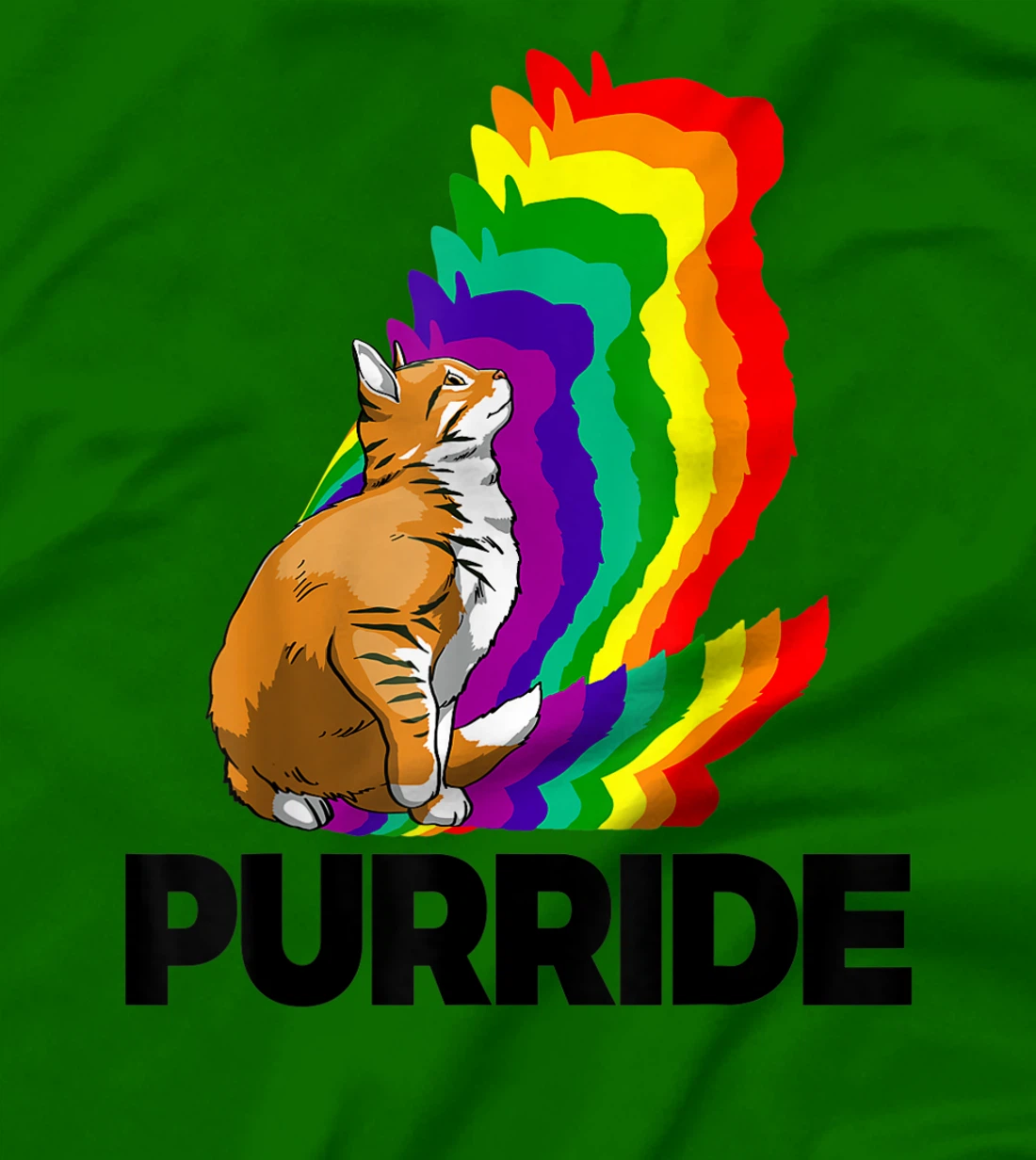 Cat Pride Purride Cat Rainbow Color Funny Cat Lovers Kitten T-Shirt, Women T-Shirt