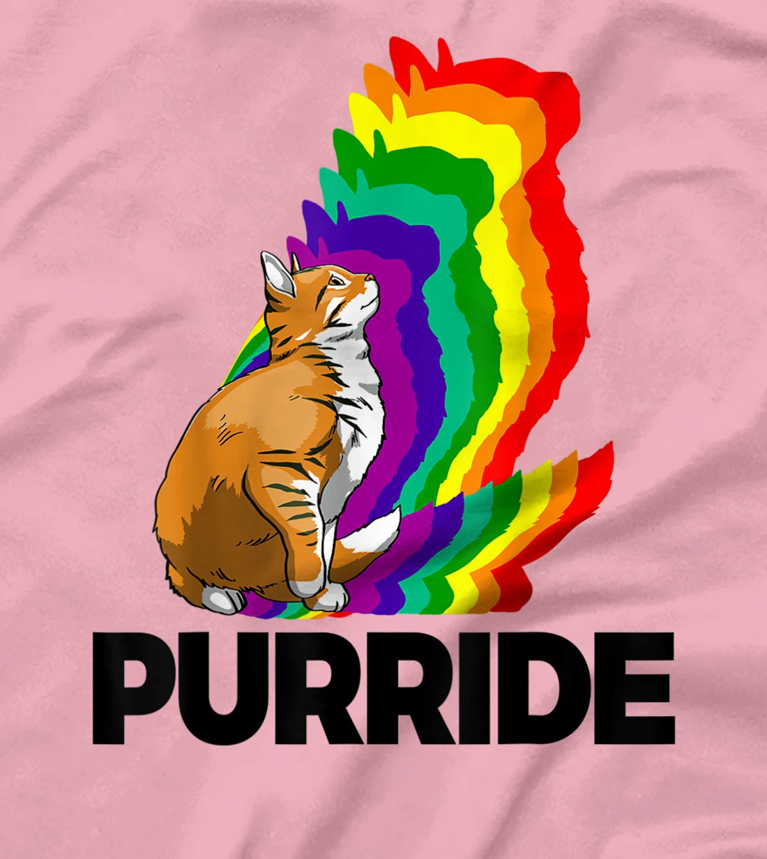 Cat Pride Purride Cat Rainbow Color Funny Cat Lovers Kitten T-Shirt, Women T-Shirt