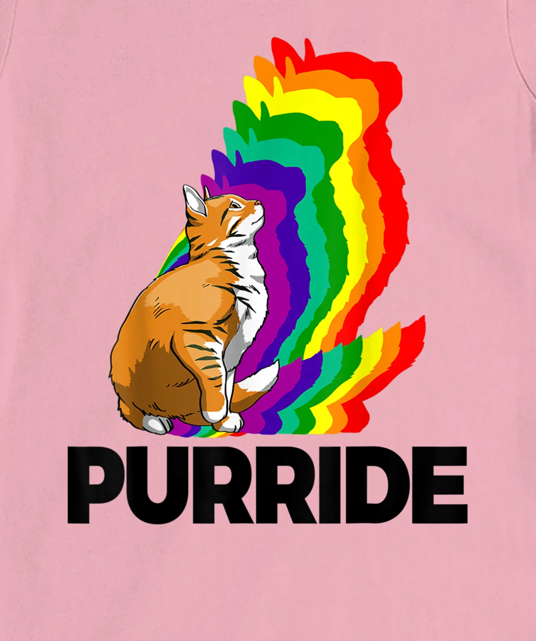 Cat Pride Purride Cat Rainbow Color Funny Cat Lovers Kitten T-Shirt, Women T-Shirt