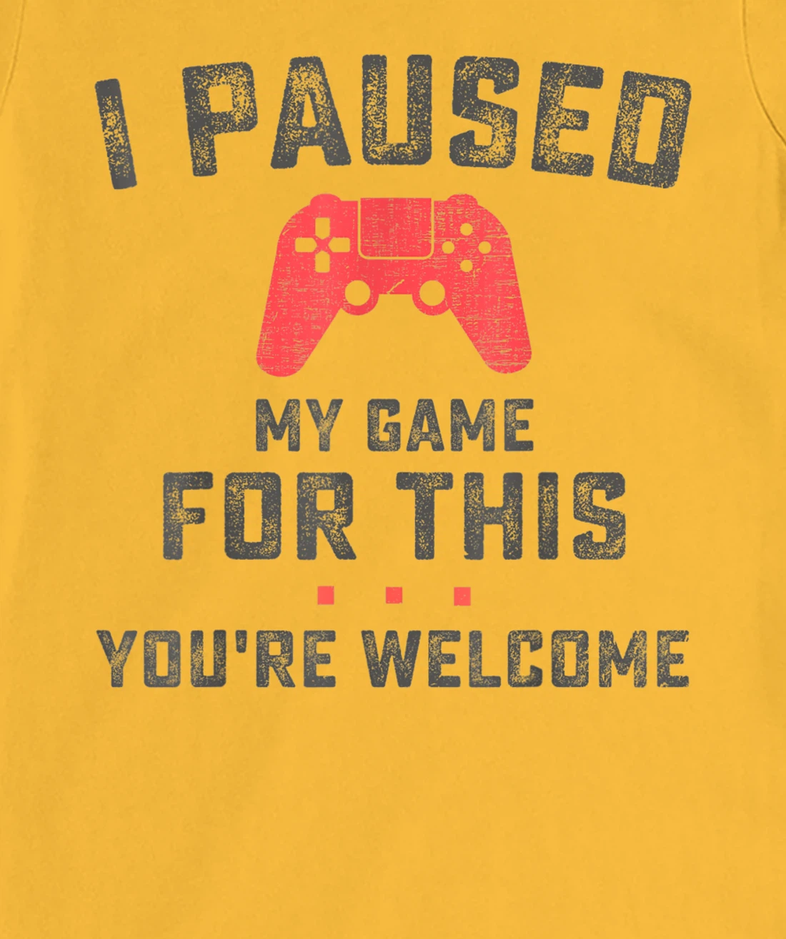 Womens Funny Gaming Retro Vintage I Paused My Game You're Welcome T-Shirt, Women T-Shirt