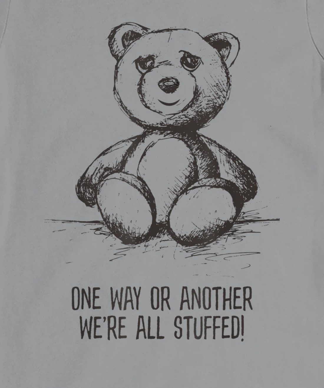 We're all stuffed funny teddy political humor hipster bear T-Shirt, Women T-Shirt