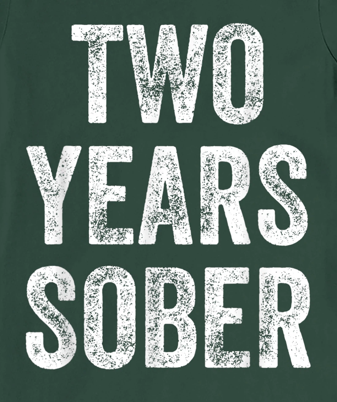 Two Years Sober Congratulations Sobriety Anniversary T-Shirt, Women T-Shirt
