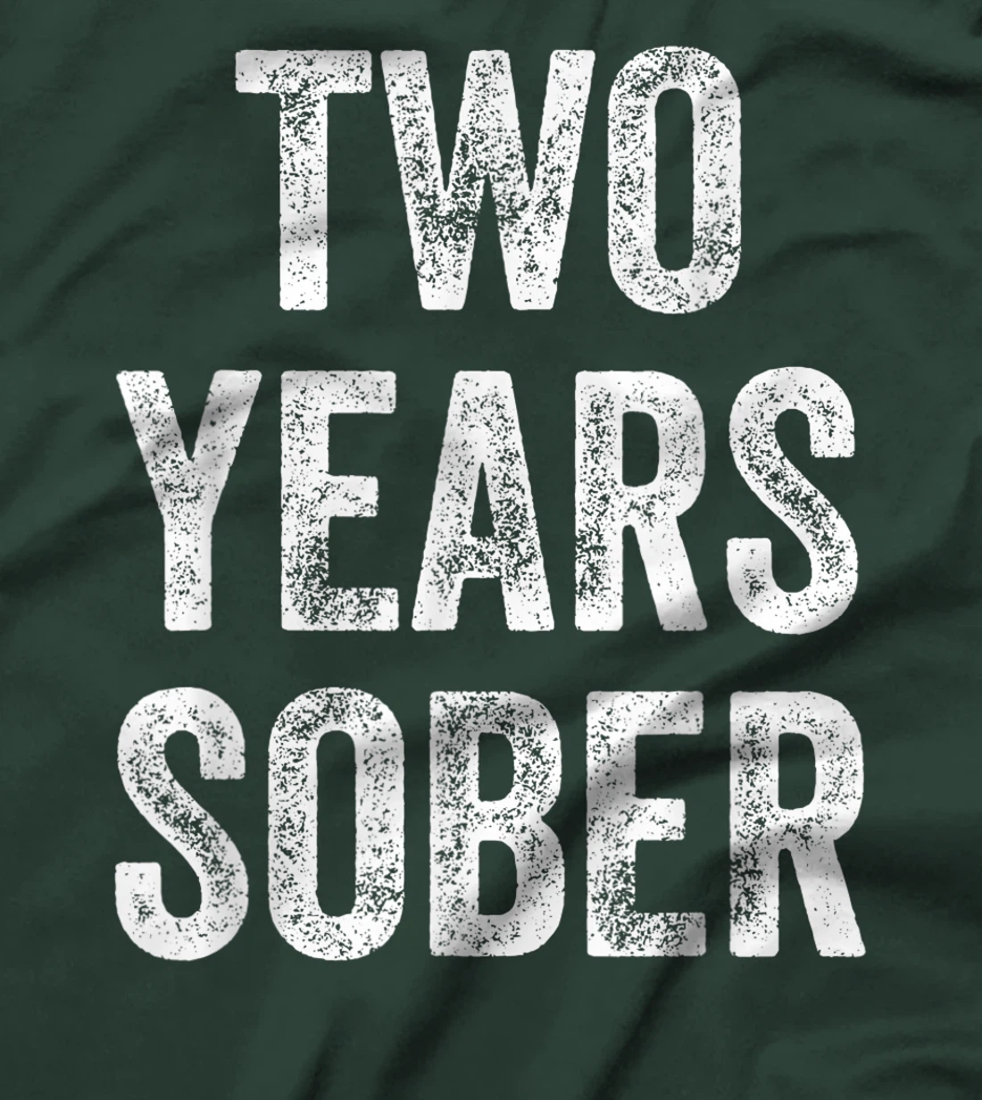 Two Years Sober Congratulations Sobriety Anniversary T-Shirt, Women T-Shirt