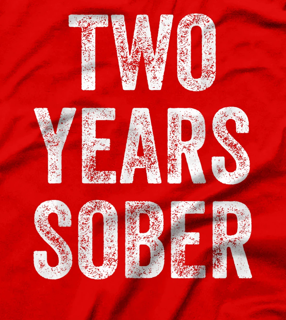 Two Years Sober Congratulations Sobriety Anniversary T-Shirt, Women T-Shirt