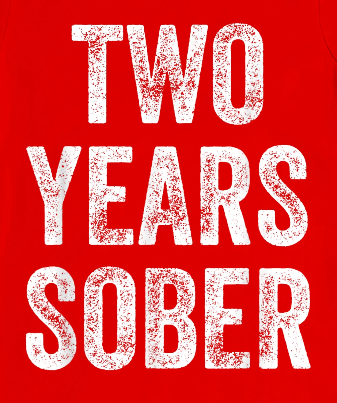 Two Years Sober Congratulations Sobriety Anniversary T-Shirt, Women T-Shirt