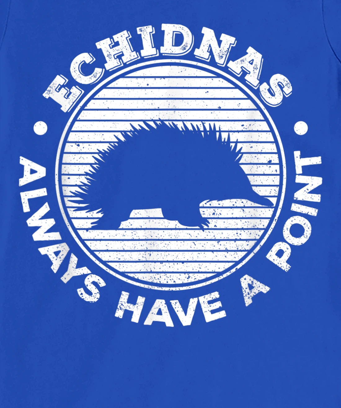 Echidnas always have a point Design for an Echidna Fan T-Shirt, Women T-Shirt