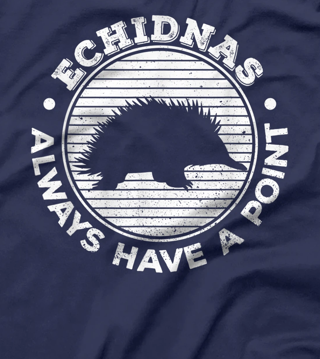 Echidnas always have a point Design for an Echidna Fan T-Shirt, Women T-Shirt