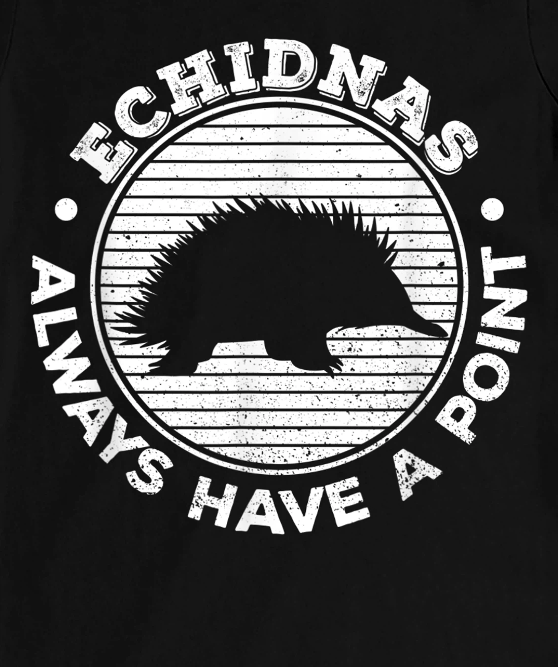 Echidnas always have a point Design for an Echidna Fan T-Shirt, Women T-Shirt