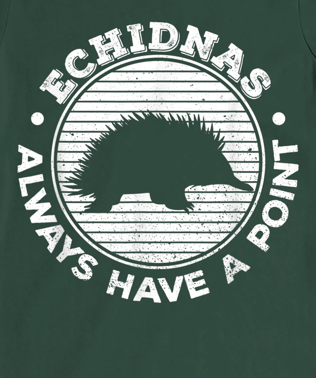 Echidnas always have a point Design for an Echidna Fan T-Shirt, Women T-Shirt