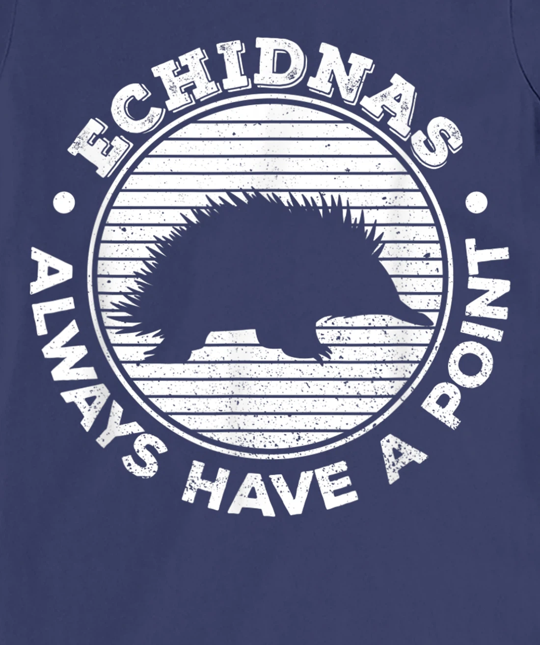 Echidnas always have a point Design for an Echidna Fan T-Shirt, Women T-Shirt