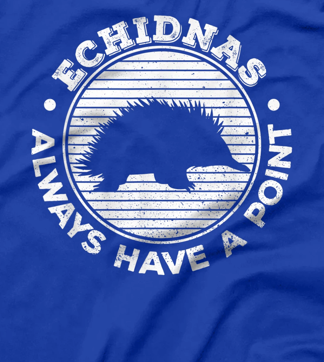 Echidnas always have a point Design for an Echidna Fan T-Shirt, Women T-Shirt