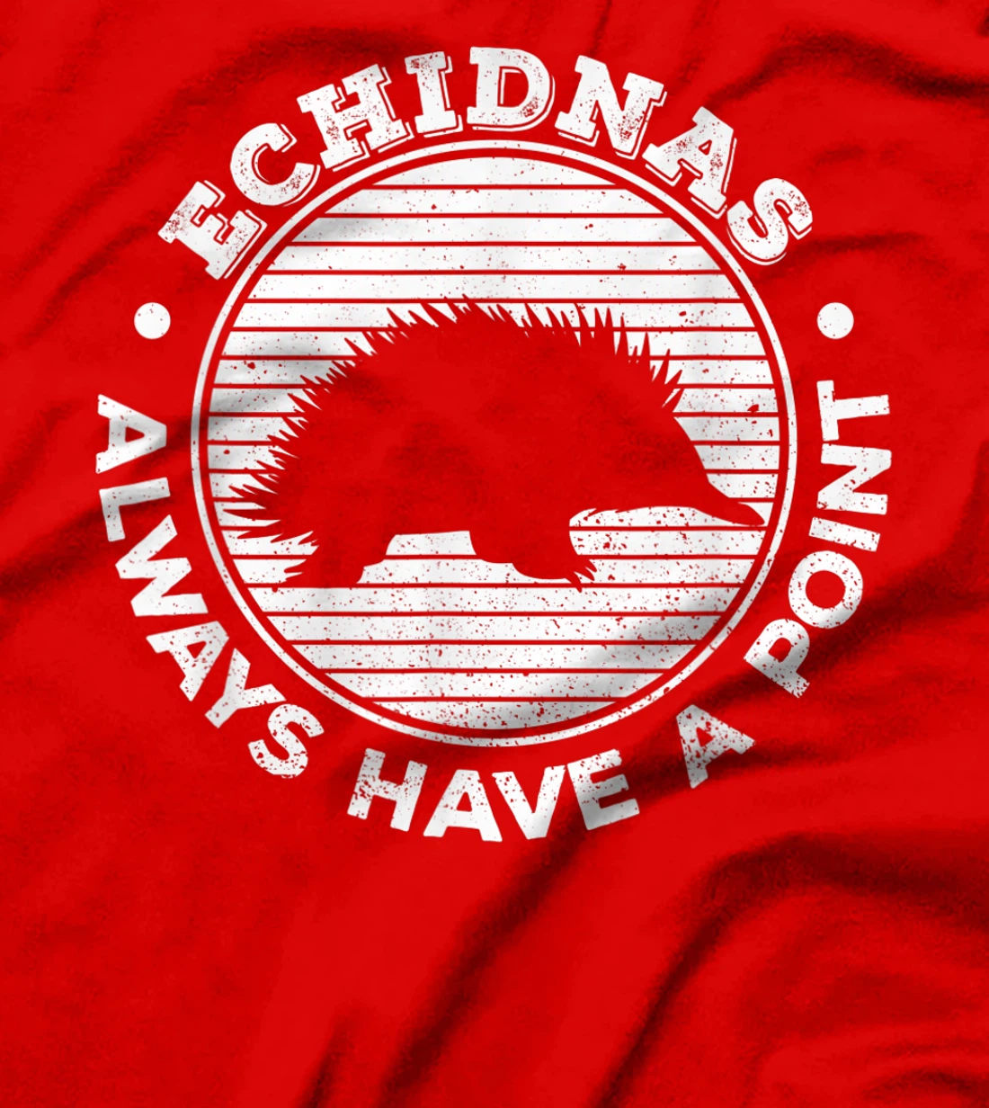 Echidnas always have a point Design for an Echidna Fan T-Shirt, Women T-Shirt