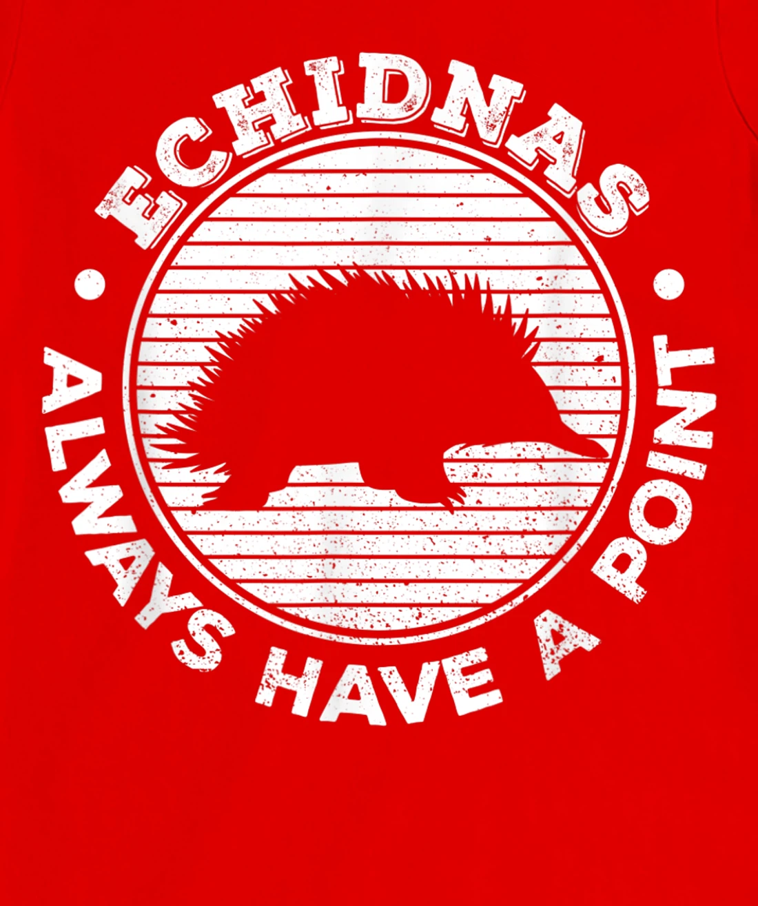 Echidnas always have a point Design for an Echidna Fan T-Shirt, Women T-Shirt