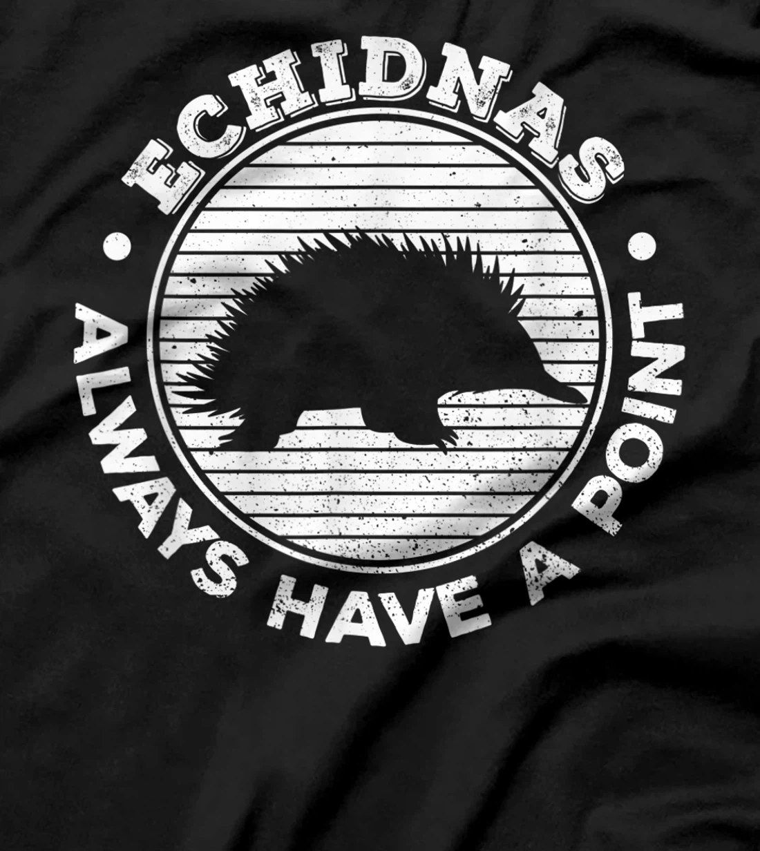 Echidnas always have a point Design for an Echidna Fan T-Shirt, Women T-Shirt